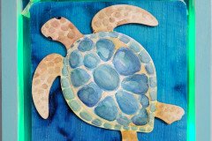Sea Turtle